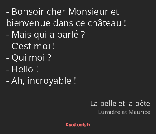 Bonsoir cher Monsieur et bienvenue dans ce château ! Mais qui a parlé ? C’est moi ! Qui moi ? Hello…