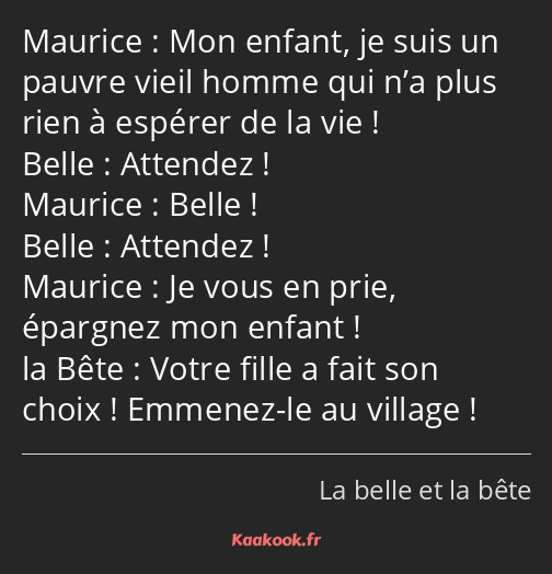 Mon enfant, je suis un pauvre vieil homme qui n’a plus rien à espérer de la vie ! Attendez ! Belle…