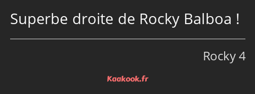 Superbe droite de Rocky Balboa !