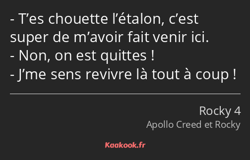 T’es chouette l’étalon, c’est super de m’avoir fait venir ici. Non, on est quittes ! J’me sens…