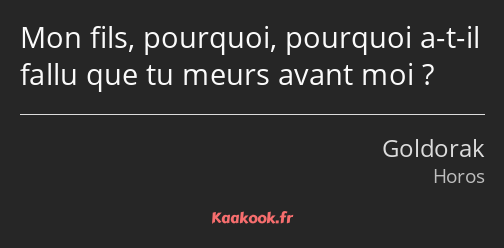 Mon fils, pourquoi, pourquoi a-t-il fallu que tu meurs avant moi ?