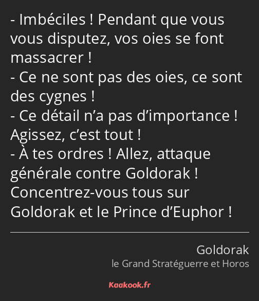 Imbéciles ! Pendant que vous vous disputez, vos oies se font massacrer ! Ce ne sont pas des oies…