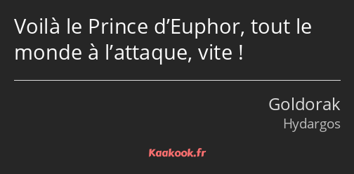 Voilà le Prince d’Euphor, tout le monde à l’attaque, vite !