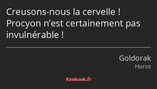 Creusons-nous la cervelle ! Procyon n’est certainement pas invulnérable !