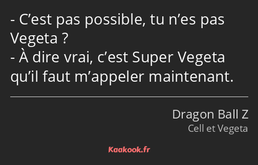 C’est pas possible, tu n’es pas Vegeta ? À dire vrai, c’est Super Vegeta qu’il faut m’appeler…