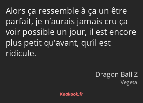 Alors ça ressemble à ça un être parfait, je n’aurais jamais cru ça voir possible un jour, il est…