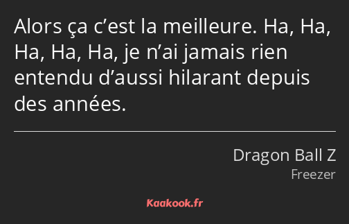 Alors ça c’est la meilleure. Ha, Ha, Ha, Ha, Ha, je n’ai jamais rien entendu d’aussi hilarant…