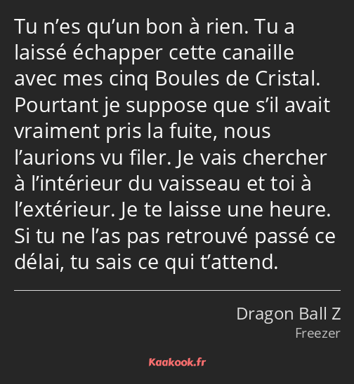 Tu n’es qu’un bon à rien. Tu a laissé échapper cette canaille avec mes cinq Boules de Cristal…