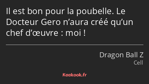 Il est bon pour la poubelle. Le Docteur Gero n’aura créé qu’un chef d’œuvre : moi !