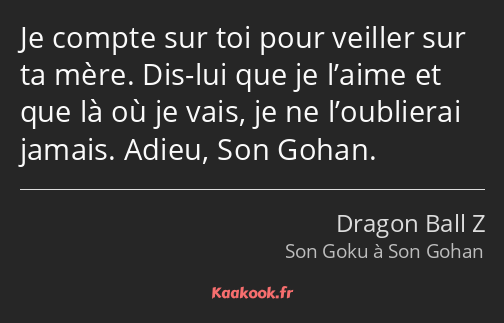 Je compte sur toi pour veiller sur ta mère. Dis-lui que je l’aime et que là où je vais, je ne…