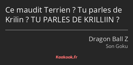 Ce maudit Terrien ? Tu parles de Krilin ? TU PARLES DE KRILLIIN ?