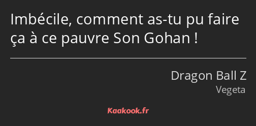 Imbécile, comment as-tu pu faire ça à ce pauvre Son Gohan !