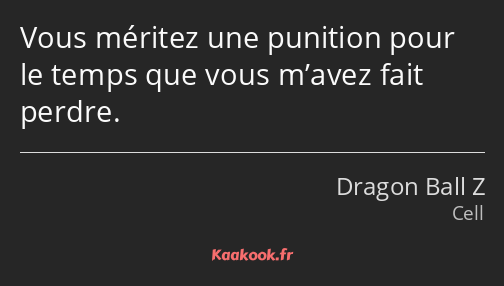 Vous méritez une punition pour le temps que vous m’avez fait perdre.