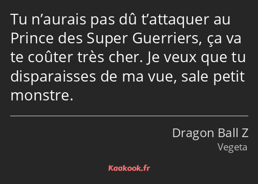 Tu n’aurais pas dû t’attaquer au Prince des Super Guerriers, ça va te coûter très cher. Je veux que…