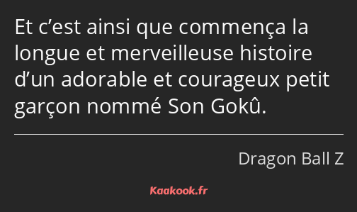 Et c’est ainsi que commença la longue et merveilleuse histoire d’un adorable et courageux petit…