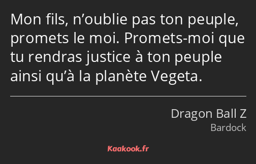 Mon fils, n’oublie pas ton peuple, promets le moi. Promets-moi que tu rendras justice à ton peuple…