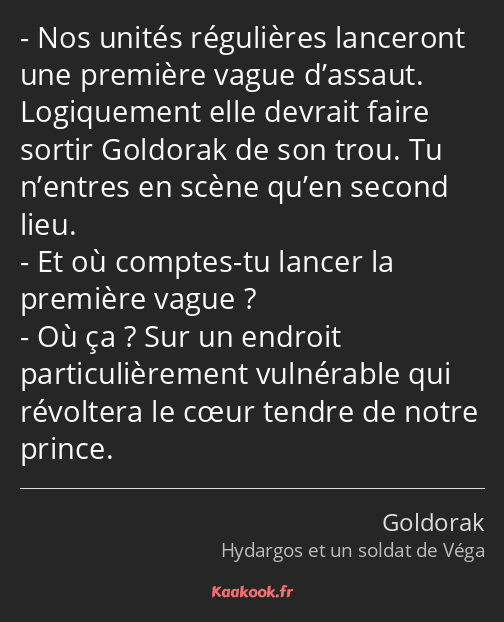 Nos unités régulières lanceront une première vague d’assaut. Logiquement elle devrait faire sortir…