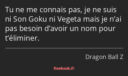 Tu ne me connais pas, je ne suis ni Son Goku ni Vegeta mais je n’ai pas besoin d’avoir un nom pour…