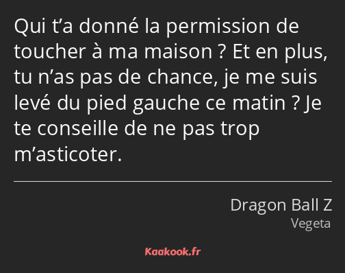 Qui t’a donné la permission de toucher à ma maison ? Et en plus, tu n’as pas de chance, je me suis…