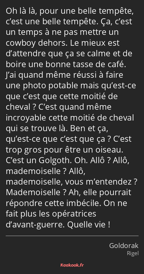 Oh là là, pour une belle tempête, c’est une belle tempête. Ça, c’est un temps à ne pas mettre un…