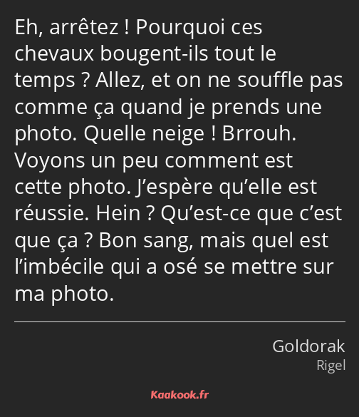 Eh, arrêtez ! Pourquoi ces chevaux bougent-ils tout le temps ? Allez, et on ne souffle pas comme ça…