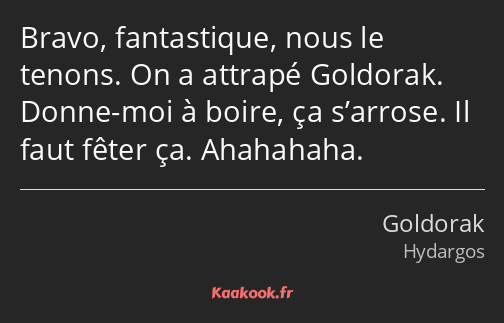 Bravo, fantastique, nous le tenons. On a attrapé Goldorak. Donne-moi à boire, ça s’arrose. Il faut…