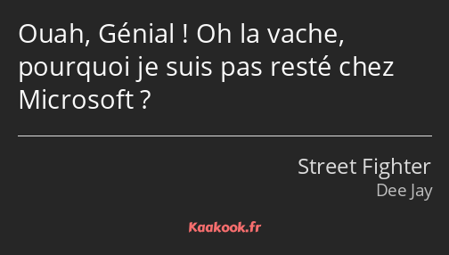 Ouah, Génial ! Oh la vache, pourquoi je suis pas resté chez Microsoft ?