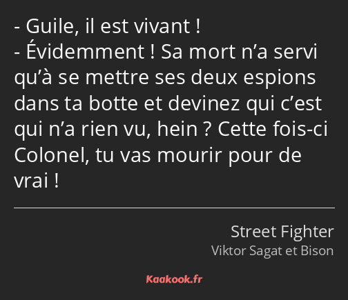 Guile, il est vivant ! Évidemment ! Sa mort n’a servi qu’à se mettre ses deux espions dans ta botte…