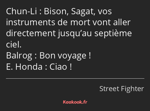 Bison, Sagat, vos instruments de mort vont aller directement jusqu’au septième ciel. Bon voyage…