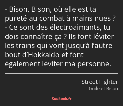 Bison, Bison, où elle est ta pureté au combat à mains nues ? Ce sont des électroaimants, tu dois…