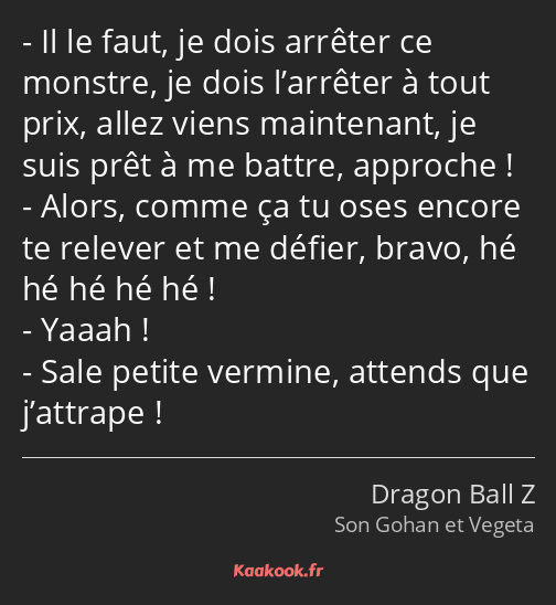 Il le faut, je dois arrêter ce monstre, je dois l’arrêter à tout prix, allez viens maintenant, je…