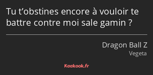 Tu t’obstines encore à vouloir te battre contre moi sale gamin ?