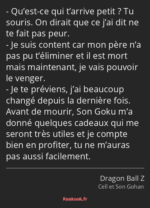 Qu’est-ce qui t’arrive petit ? Tu souris. On dirait que ce j’ai dit ne te fait pas peur. Je suis…