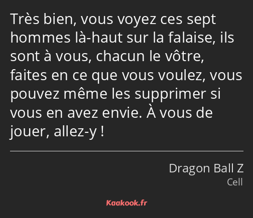 Très bien, vous voyez ces sept hommes là-haut sur la falaise, ils sont à vous, chacun le vôtre…