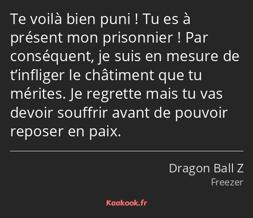 Te voilà bien puni ! Tu es à présent mon prisonnier ! Par conséquent, je suis en mesure de…