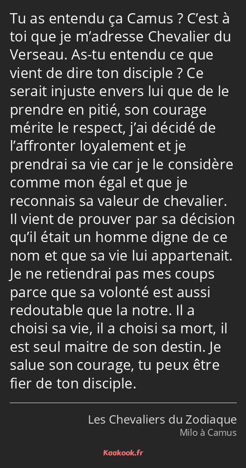 Tu as entendu ça Camus ? C’est à toi que je m’adresse Chevalier du Verseau. As-tu entendu ce que…