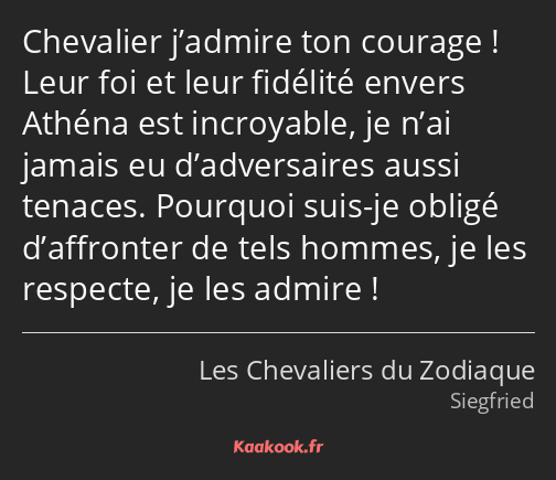 Chevalier j’admire ton courage ! Leur foi et leur fidélité envers Athéna est incroyable, je n’ai…