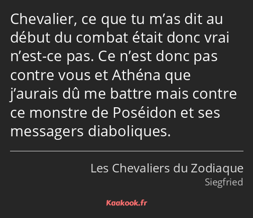 Chevalier, ce que tu m’as dit au début du combat était donc vrai n’est-ce pas. Ce n’est donc pas…