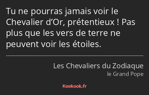 Tu ne pourras jamais voir le Chevalier d’Or, prétentieux ! Pas plus que les vers de terre ne…