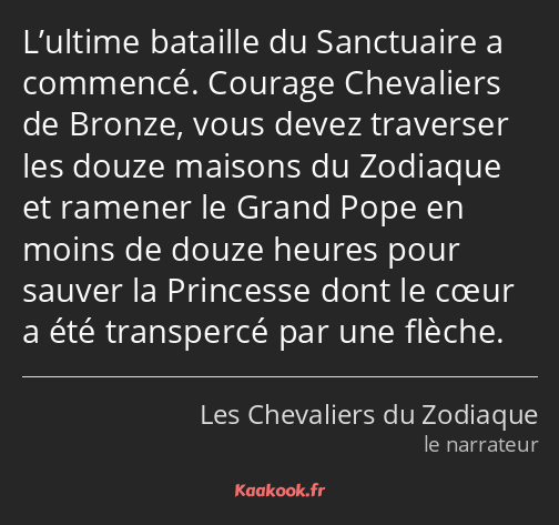 L’ultime bataille du Sanctuaire a commencé. Courage Chevaliers de Bronze, vous devez traverser les…