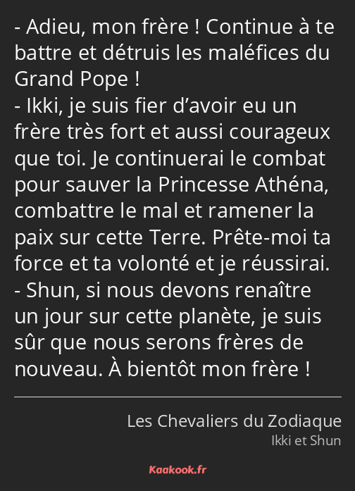 Adieu, mon frère ! Continue à te battre et détruis les maléfices du Grand Pope ! Ikki, je suis fier…