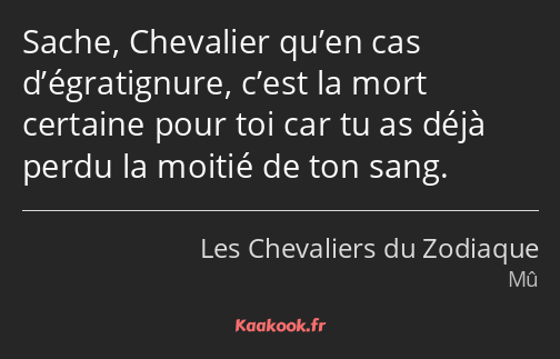 Sache, Chevalier qu’en cas d’égratignure, c’est la mort certaine pour toi car tu as déjà perdu la…