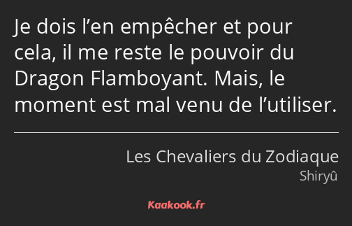 Je dois l’en empêcher et pour cela, il me reste le pouvoir du Dragon Flamboyant. Mais, le moment…