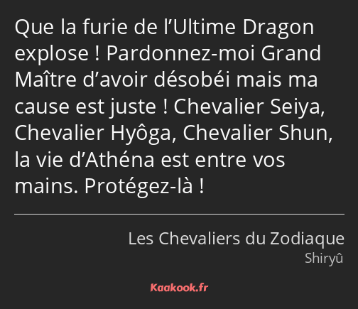 Que la furie de l’Ultime Dragon explose ! Pardonnez-moi Grand Maître d’avoir désobéi mais ma cause…