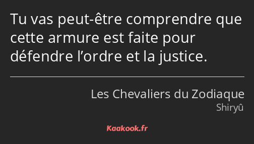 Tu vas peut-être comprendre que cette armure est faite pour défendre l’ordre et la justice.