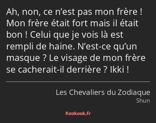 Ah, non, ce n’est pas mon frère ! Mon frère était fort mais il était bon ! Celui que je vois là est…