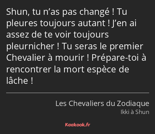 Shun, tu n’as pas changé ! Tu pleures toujours autant ! J’en ai assez de te voir toujours…