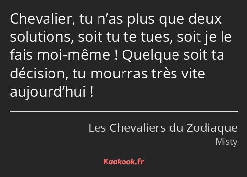 Chevalier, tu n’as plus que deux solutions, soit tu te tues, soit je le fais moi-même ! Quelque…