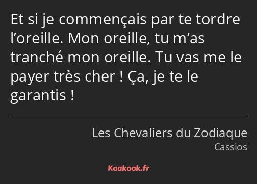 Et si je commençais par te tordre l’oreille. Mon oreille, tu m’as tranché mon oreille. Tu vas me le…