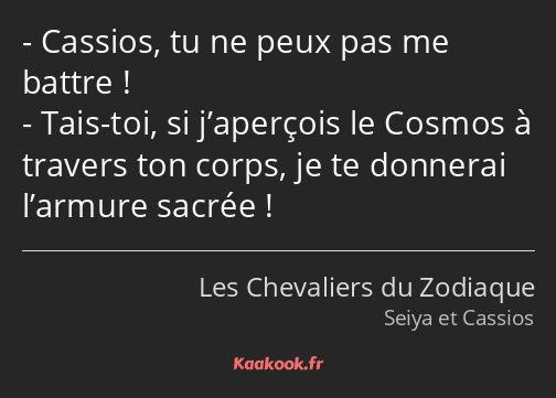 Cassios, tu ne peux pas me battre ! Tais-toi, si j’aperçois le Cosmos à travers ton corps, je te…